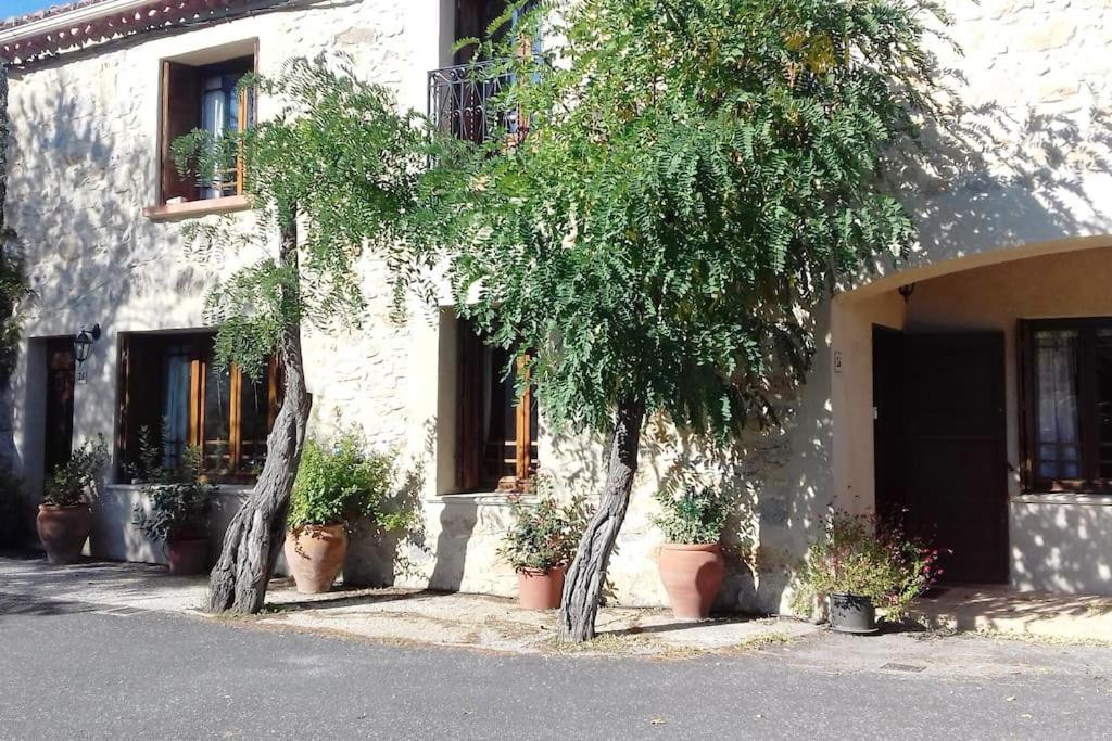Chez Sheila Daire Cucugnan Dış mekan fotoğraf